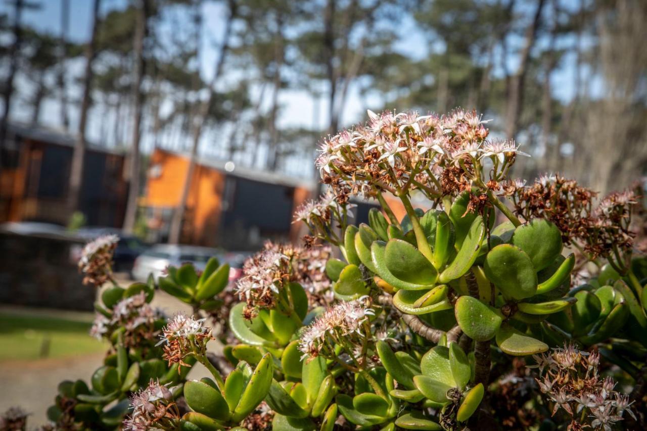 Bungalow B9 - Nature, Beach & River Fão 외부 사진